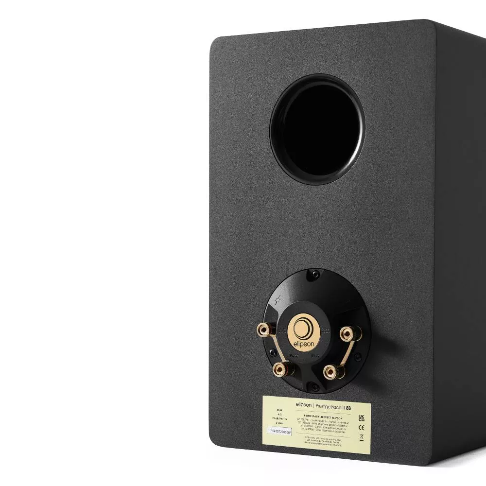 ELIPSON PFII 8B NEGRO MATE GOLD (PAR)