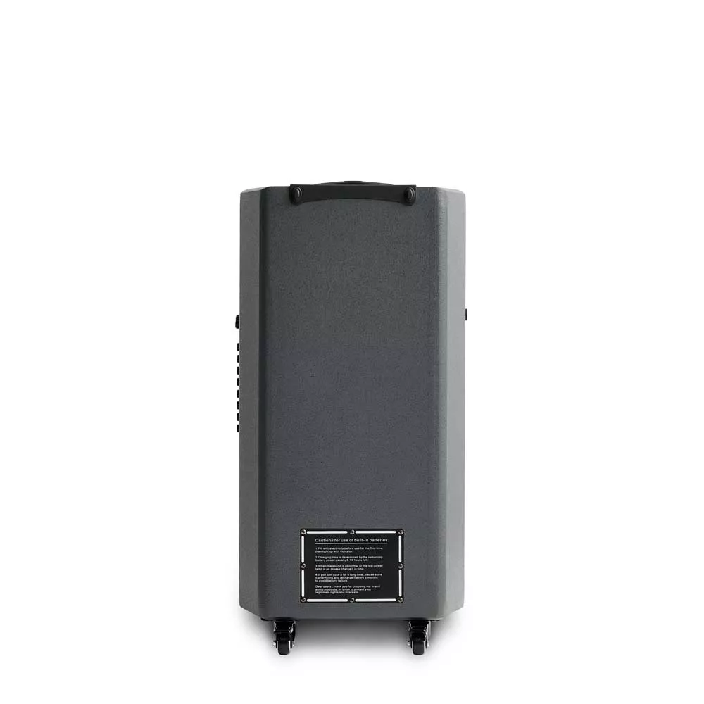 ELTAX VOYAGER 15 BT PRO  MKII (UNIDAD)