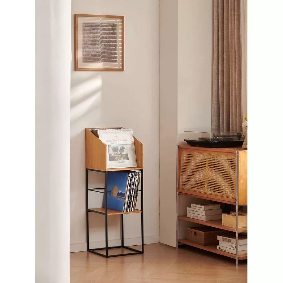 NORSTONE VINYL LP STAND