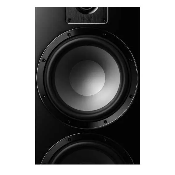 MAGNAT SIGNATURE 999 BLACK HIGH GLOSS (UNIDAD)