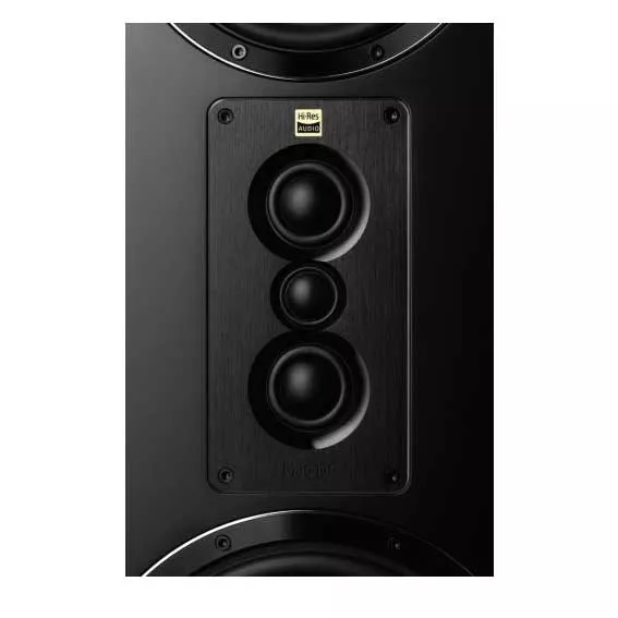 MAGNAT SIGNATURE 999 BLACK HIGH GLOSS (UNIDAD)