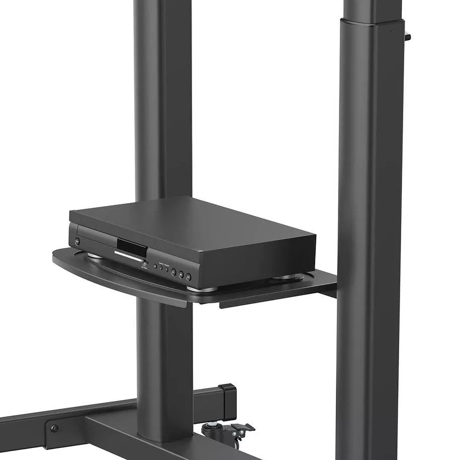 NORSTONE PRO VISION MAX