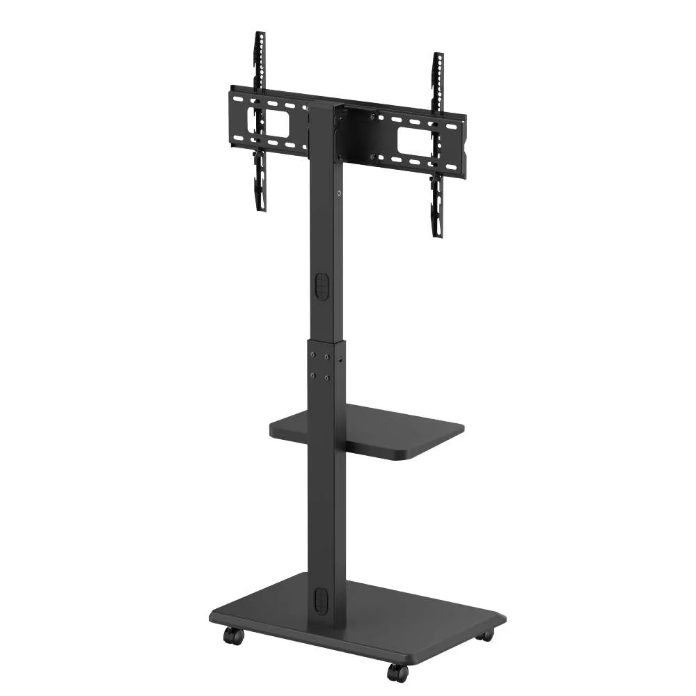 NORSTONE PRO VISION PLUS