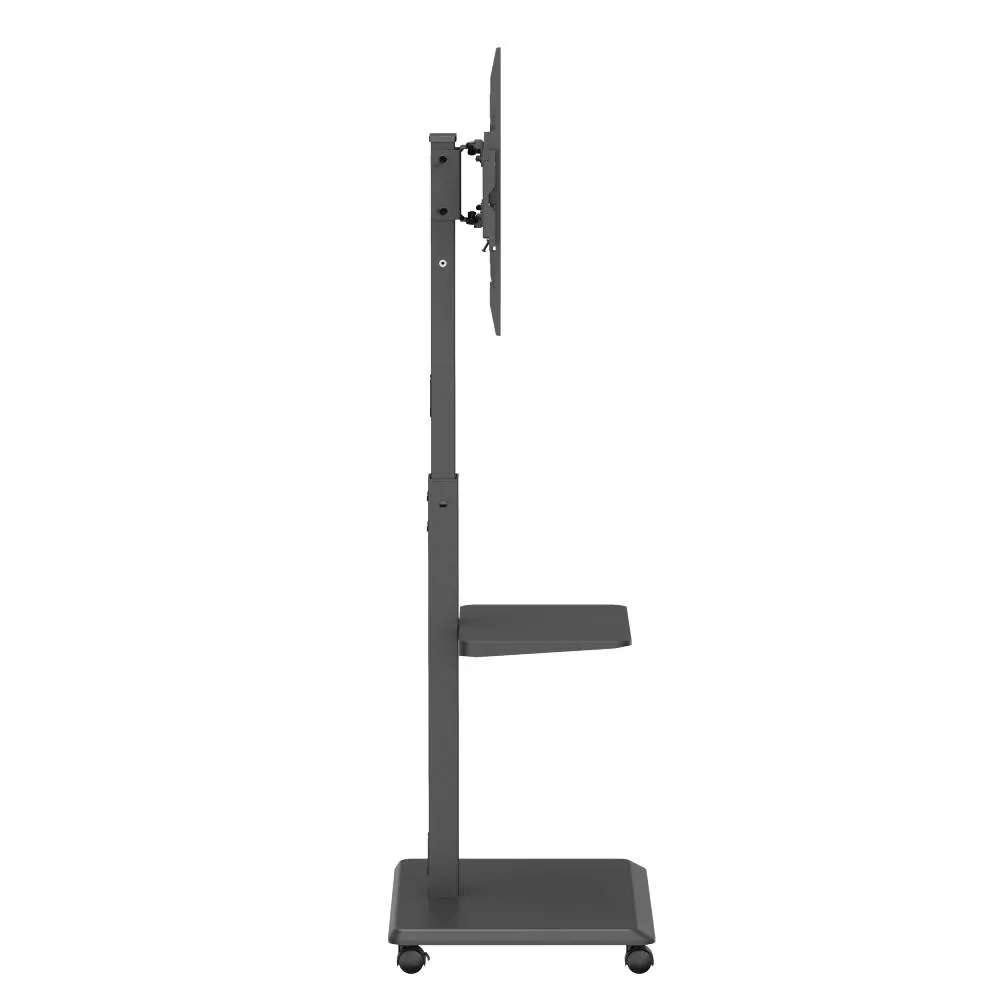 NORSTONE PRO VISION PLUS
