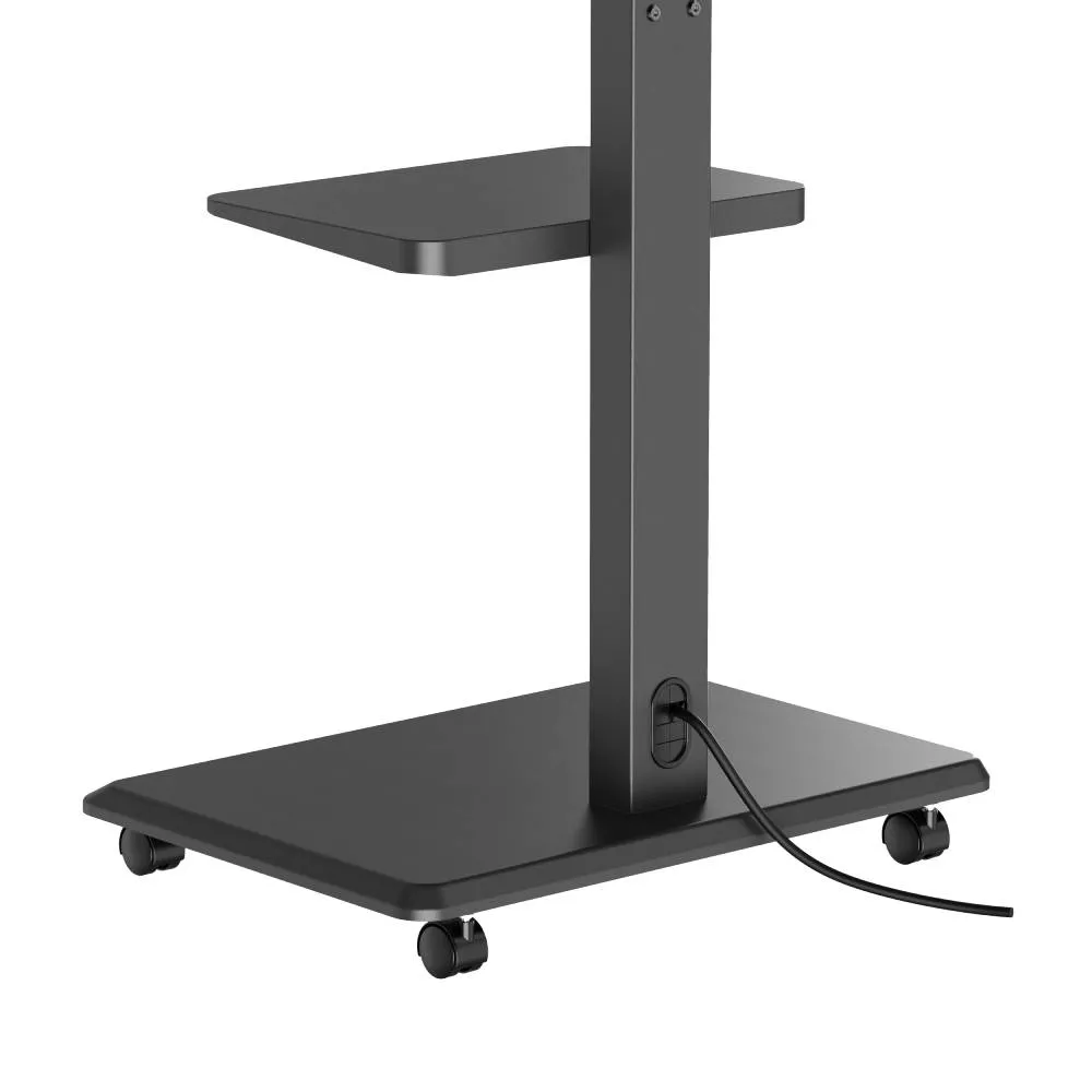NORSTONE PRO VISION PLUS