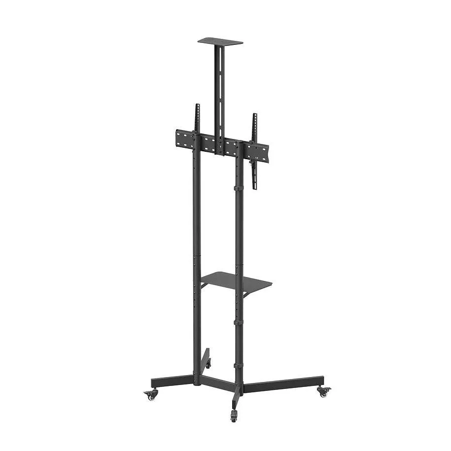 NORSTONE PRO VISION ONE