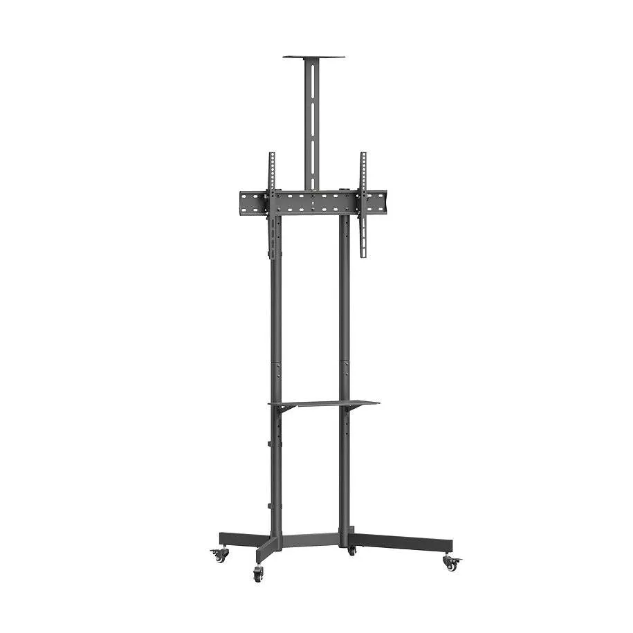 NORSTONE PRO VISION ONE
