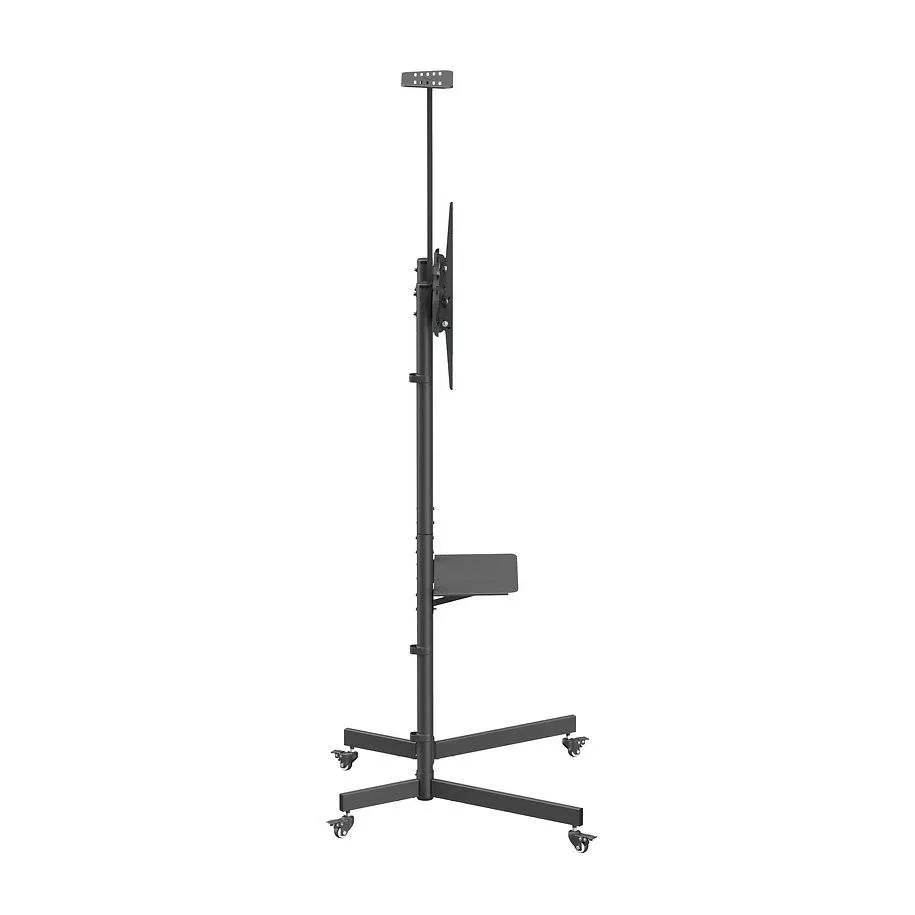 NORSTONE PRO VISION ONE